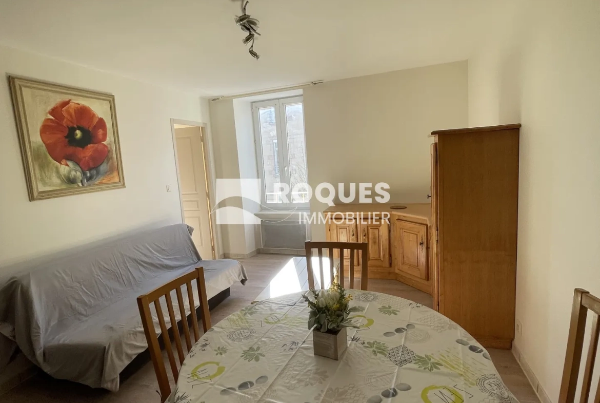 Charmant appartement de type 2 rénové au centre de Millau 