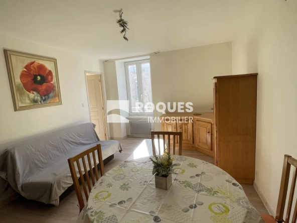 Appartement de type 2 rénové au cœur de Millau - 36 m², vendu meublé 
