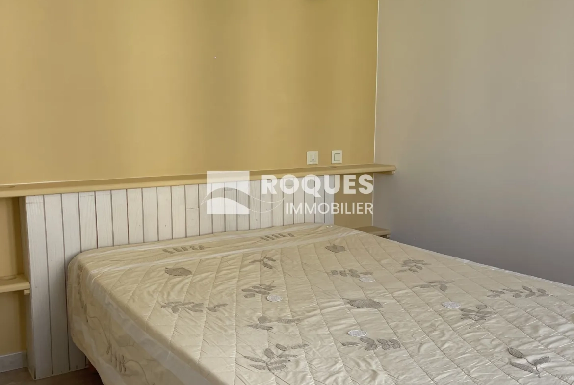 Charmant appartement de type 2 rénové au centre de Millau 