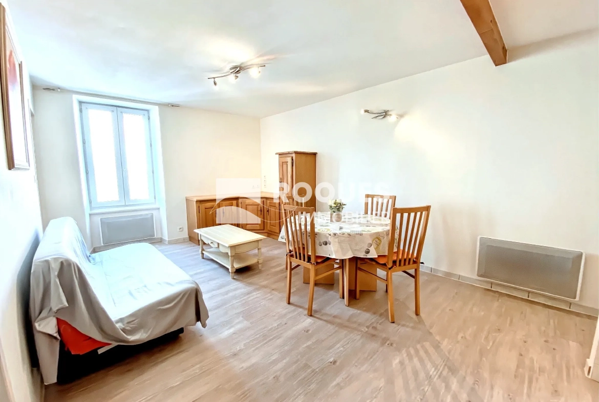 Charmant appartement de type 2 rénové au centre de Millau 