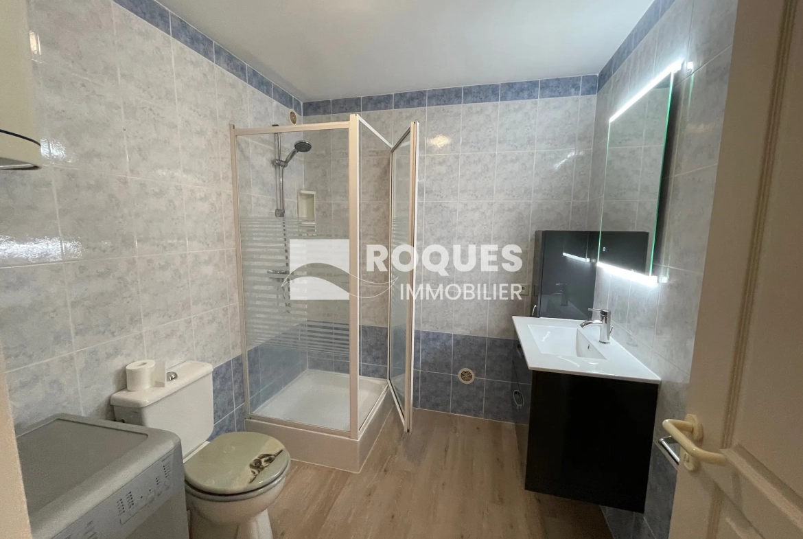 Charmant appartement de type 2 rénové au centre de Millau 