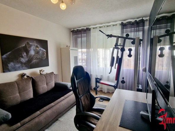 Appartement 3 chambres rénové avec balcon et parking à Saint-Louis 68300 