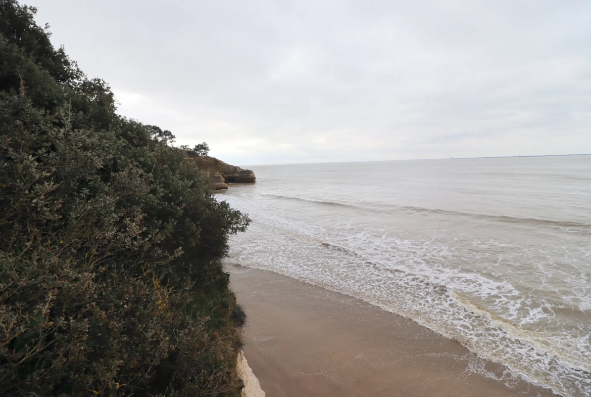 Maison proche plage à Meschers-sur-Gironde avec jardin et terrasse 
