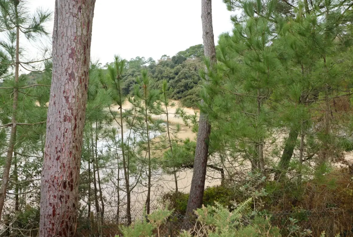 Maison proche plage à Meschers-sur-Gironde avec jardin et terrasse 