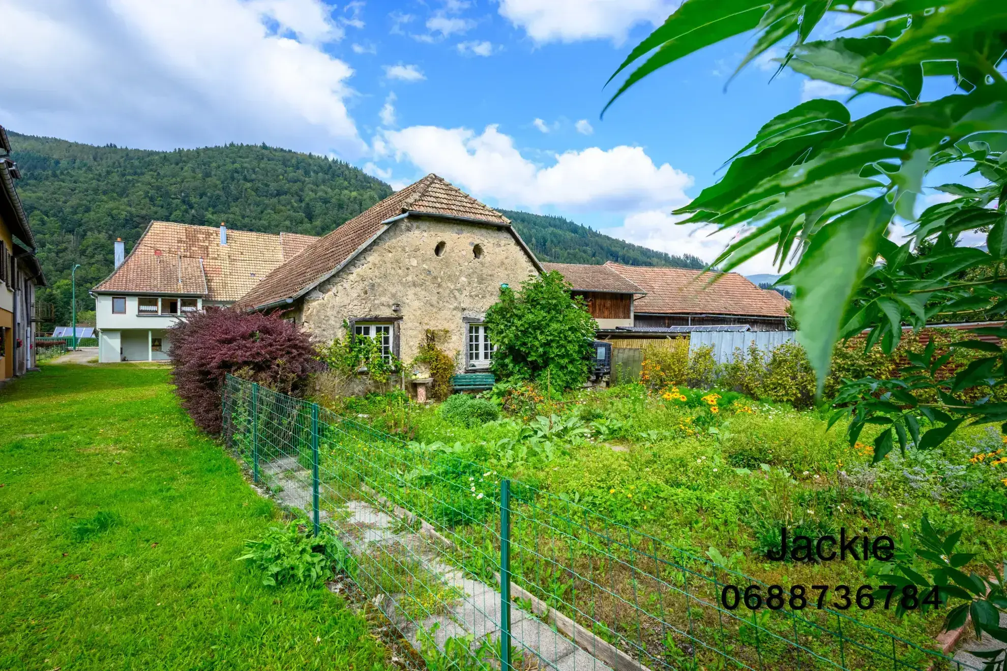 Grande maison de montagne à vendre dans les Vosges avec terrain arboré 