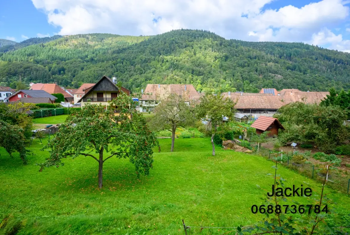 Grande maison de montagne à vendre dans les Vosges avec terrain arboré 