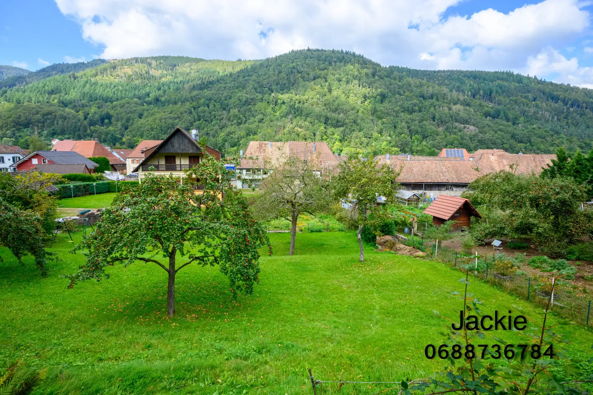 Grande maison de montagne à vendre dans les Vosges avec terrain arboré 