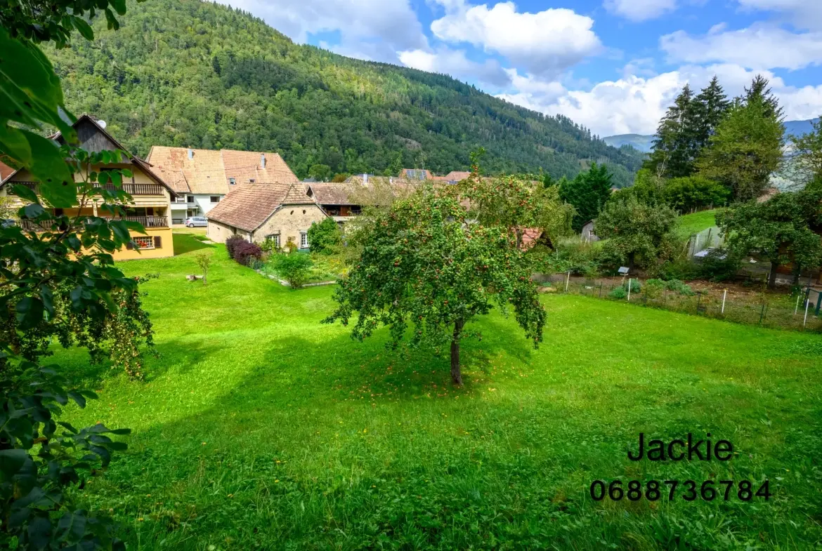 Grande maison de montagne à vendre dans les Vosges avec terrain arboré 