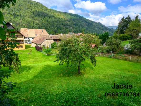 Grande maison de montagne à vendre dans les Vosges avec terrain arboré