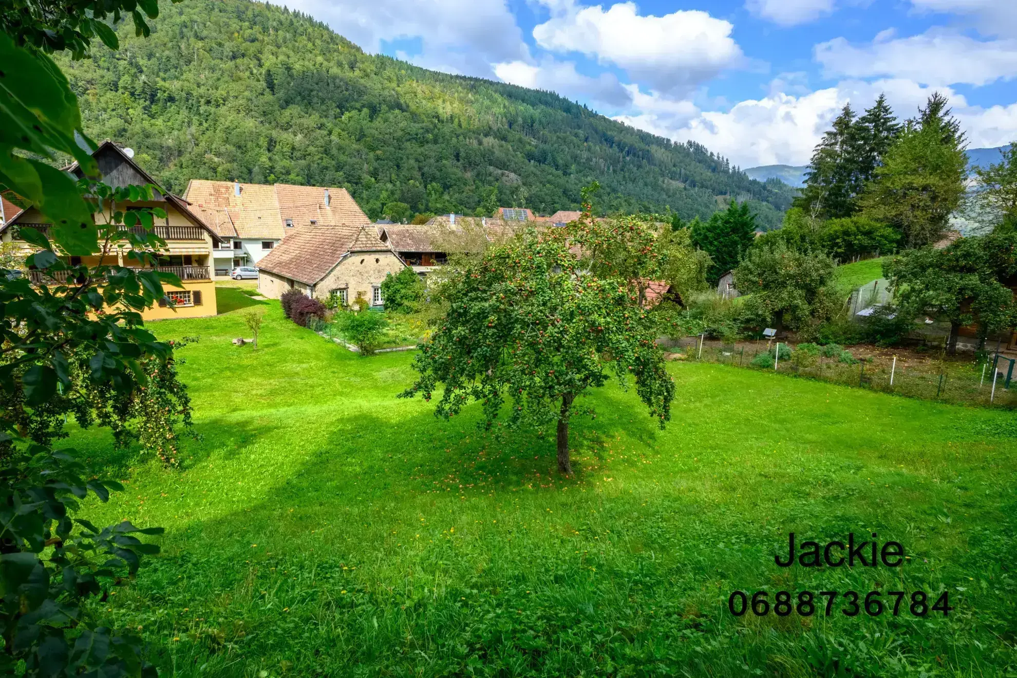 Grande maison de montagne à vendre dans les Vosges avec terrain arboré 
