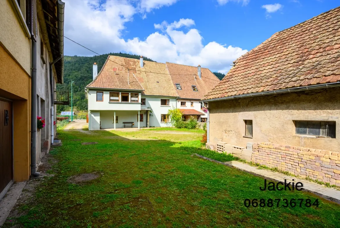Grande maison de montagne à vendre dans les Vosges avec terrain arboré 