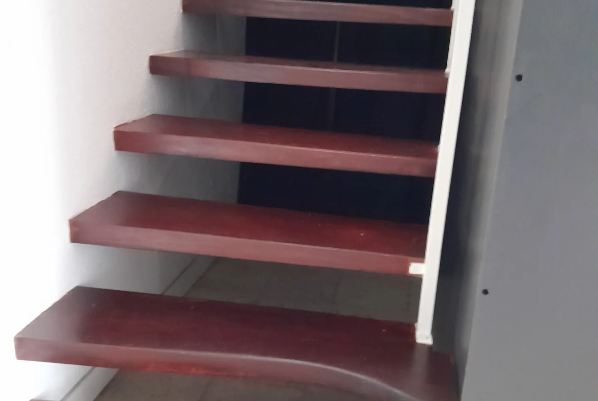 Immeuble professionnel de 101 m² avec jardin à Moissac - Excellent état 