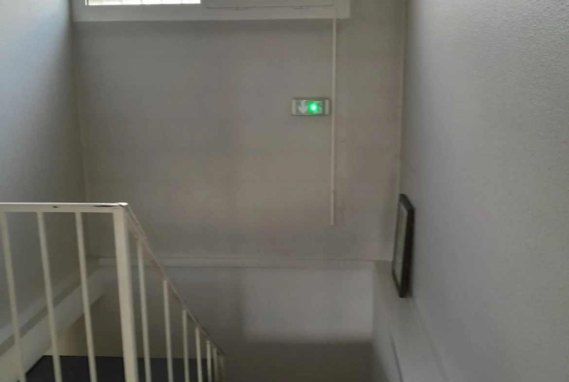 Immeuble professionnel de 101 m² avec jardin à Moissac - Excellent état 