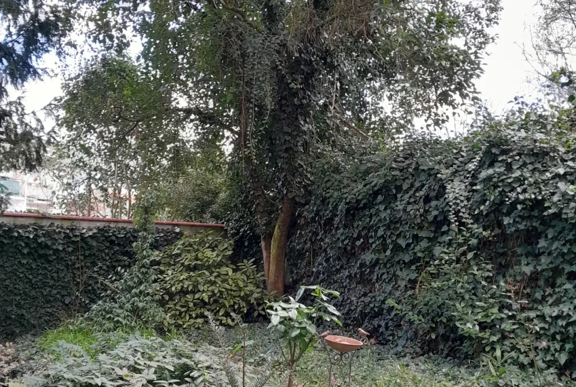 Immeuble professionnel de 101 m² avec jardin à Moissac - Excellent état 