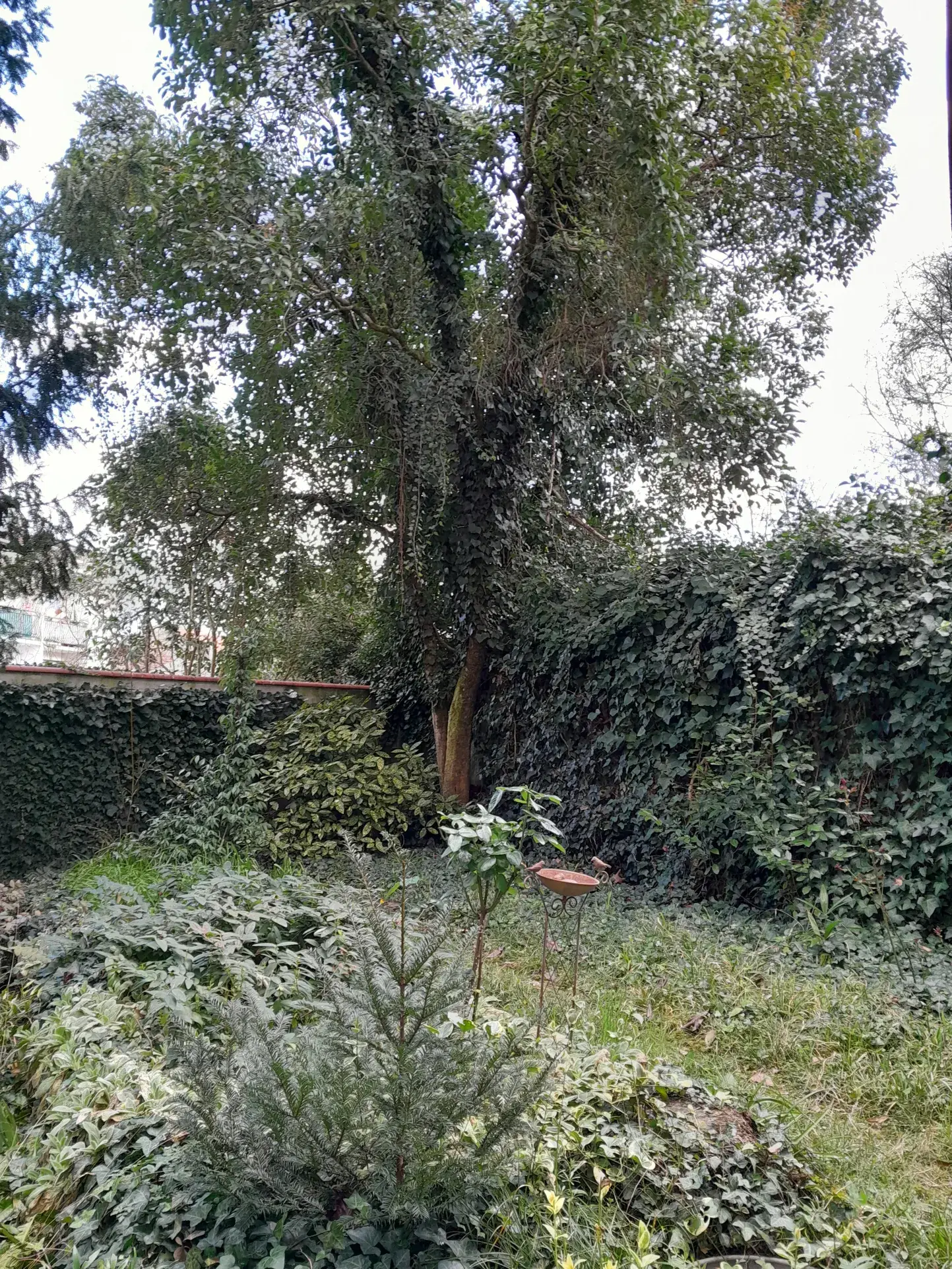 Immeuble professionnel de 101 m² avec jardin à Moissac - Excellent état 