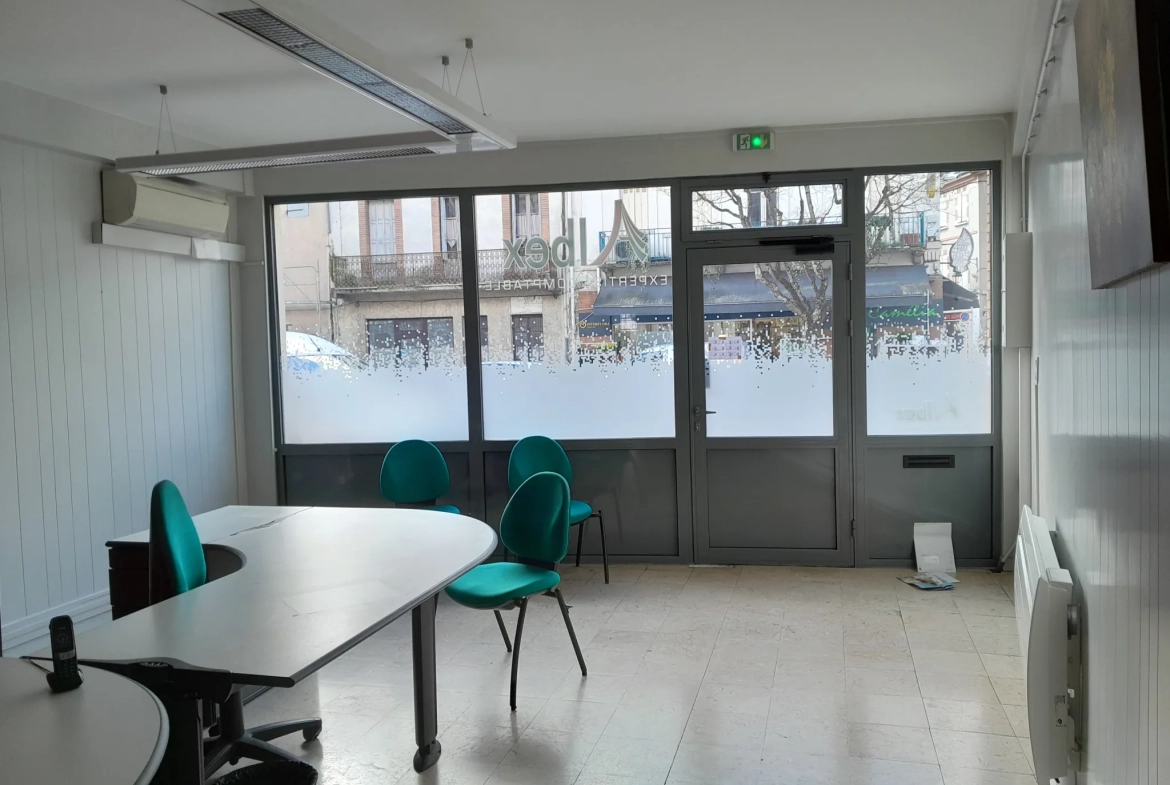 Immeuble professionnel de 101 m² avec jardin à Moissac - Excellent état 