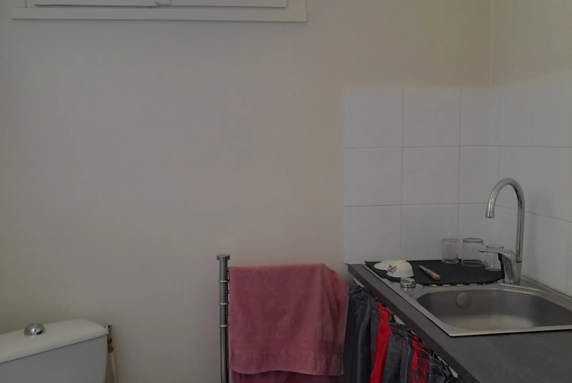 Immeuble professionnel de 101 m² avec jardin à Moissac - Excellent état 