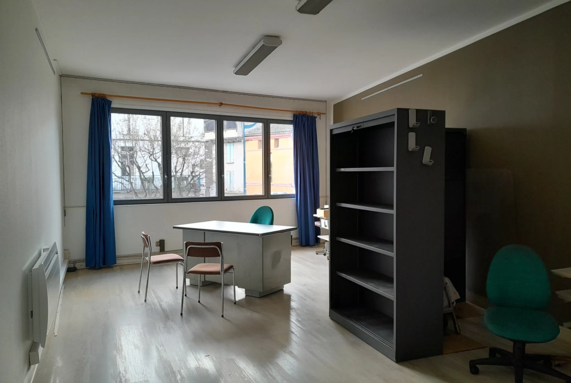 Immeuble professionnel de 101 m² avec jardin à Moissac - Excellent état 