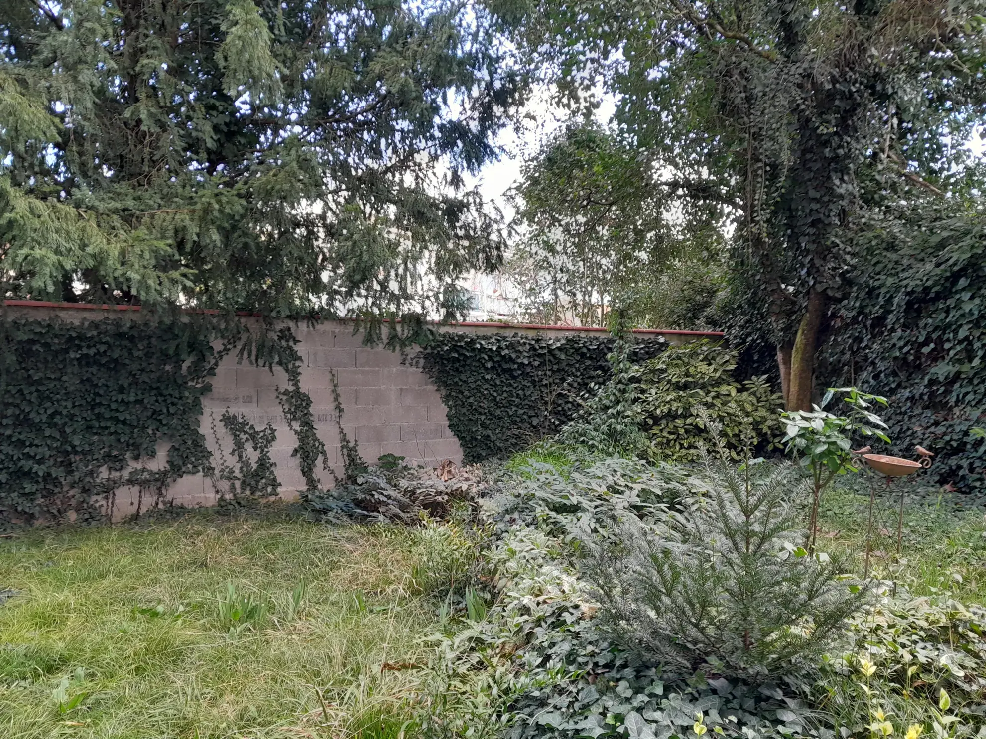 Immeuble professionnel de 101 m² avec jardin à Moissac - Excellent état 