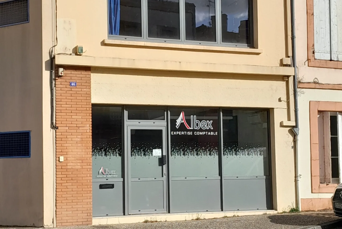 Immeuble professionnel de 101 m² avec jardin à Moissac - Excellent état 