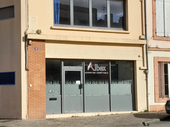 Immeuble professionnel de 101 m² avec jardin à Moissac - Excellent état
