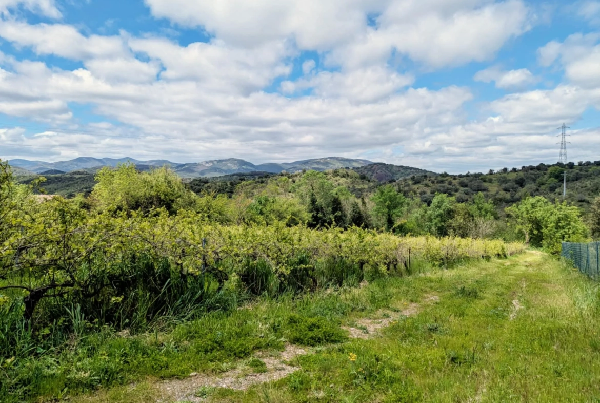 Propriété Agricole avec Vignes et Chênes Truffiers à La Tour-sur-Orb 