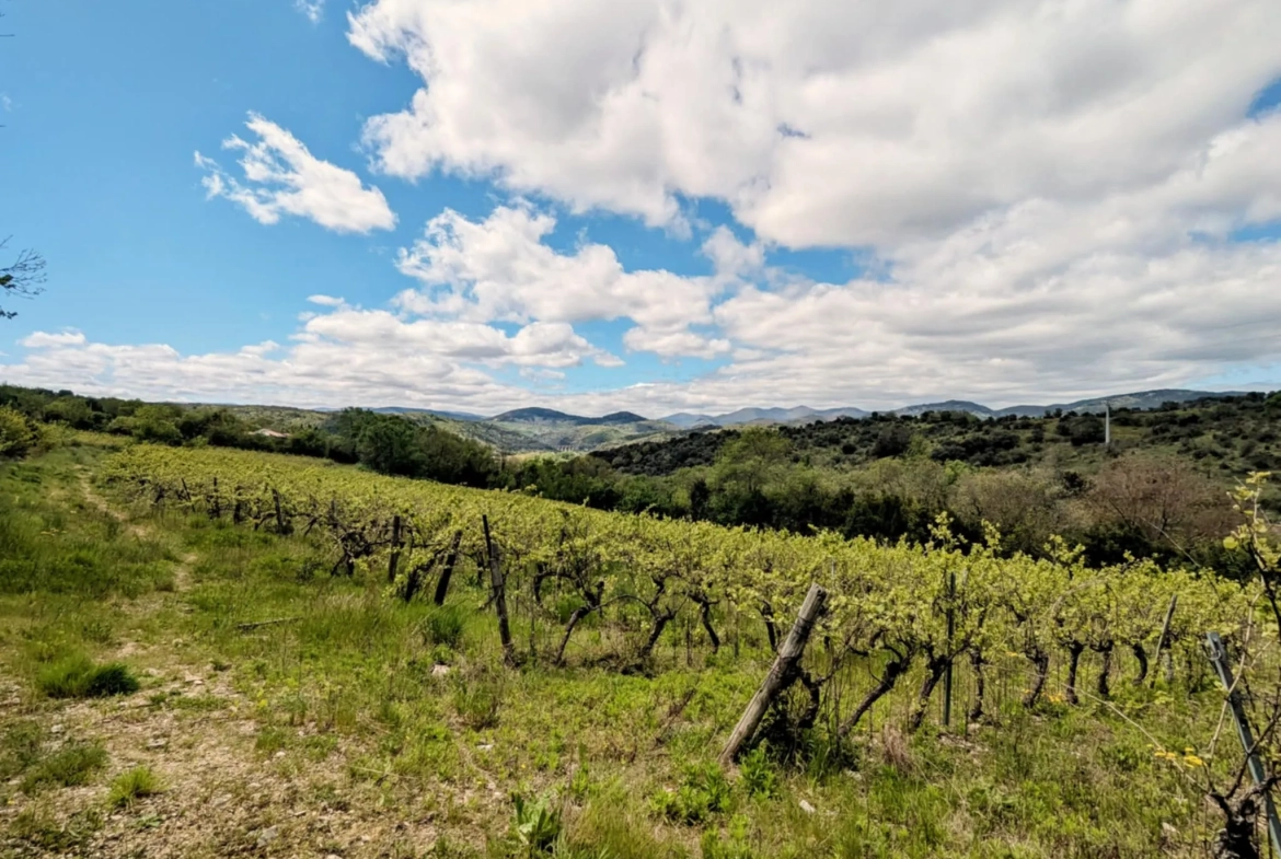 Propriété Agricole avec Vignes et Chênes Truffiers à La Tour-sur-Orb 