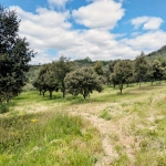 Propriété Agricole avec Vignes et Chênes Truffiers à La Tour-sur-Orb
