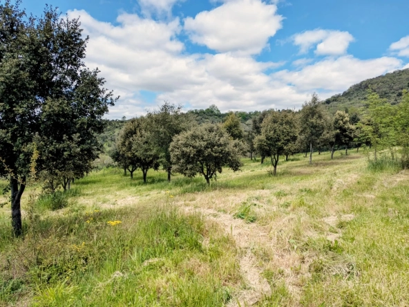 Propriété Agricole avec Vignes et Chênes Truffiers à La Tour-sur-Orb