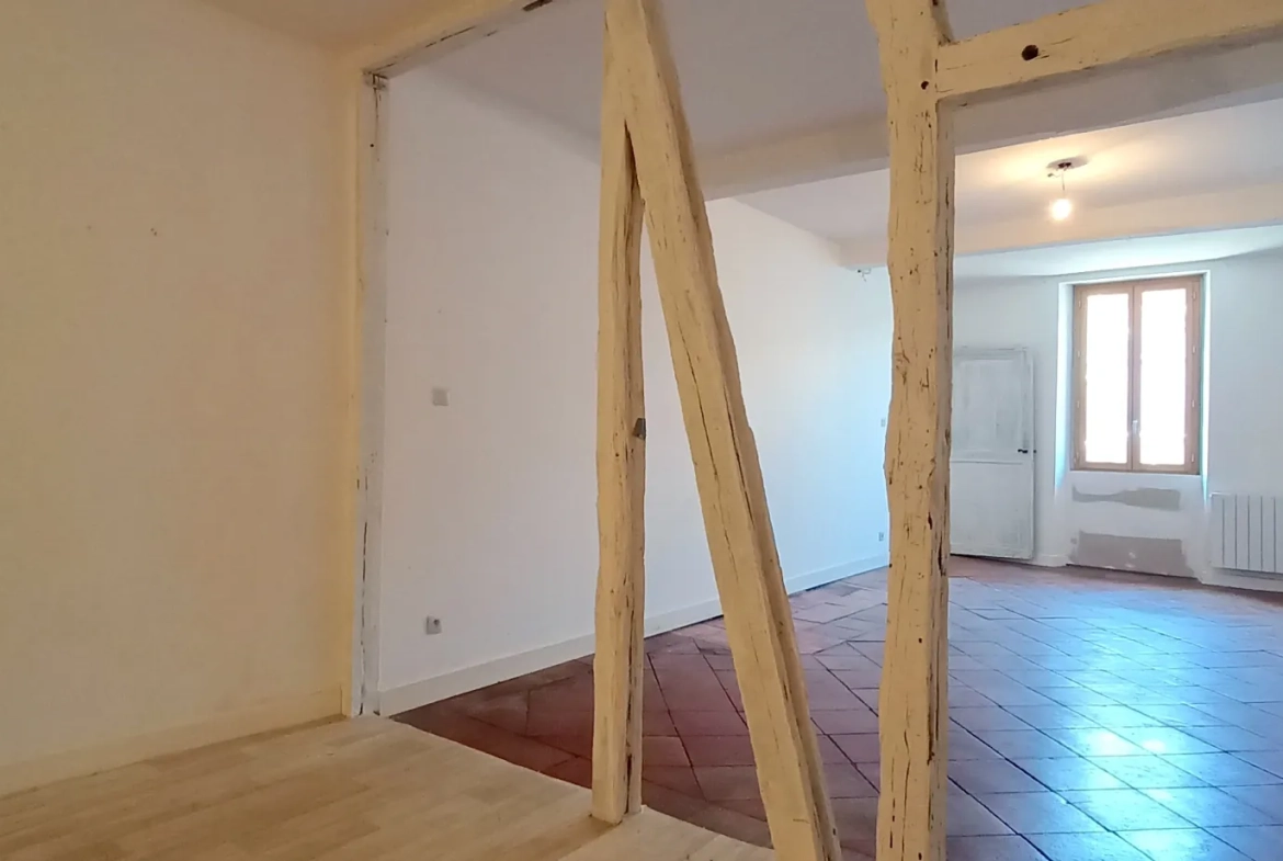 Charmante maison de village à Larrazet de 152 m² avec potentiel d'investissement 