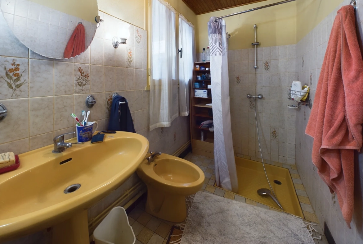 Maison de charme de 120 m² à Saint-Révérien avec garage et jardin 