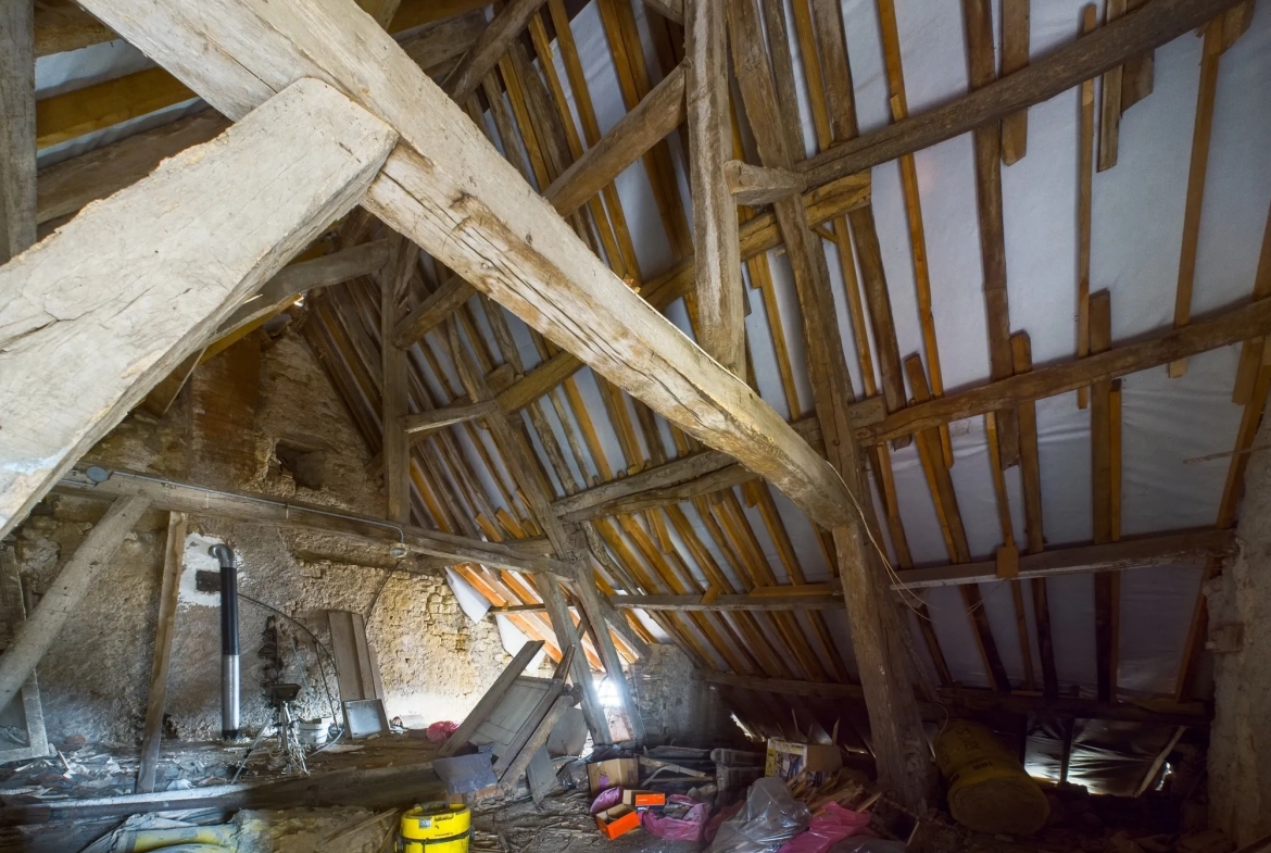 Maison de charme de 120 m² à Saint-Révérien avec garage et jardin 