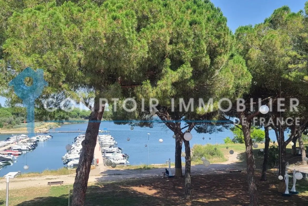 Appartement T3 avec vue sur l'étang du Ponant à La Grande Motte 