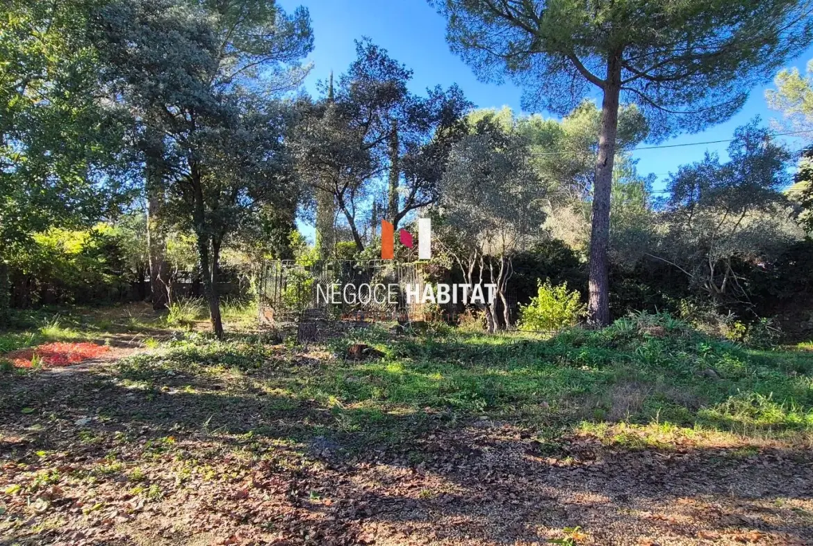 Terrain à bâtir de 460 m² à Villevieille - Opportunité immobilière 