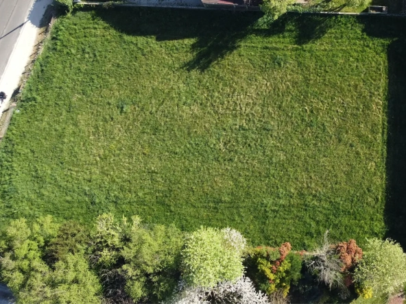 Terrain constructible de 1519 m² à Tournus - Emplacement calme proche du centre-ville