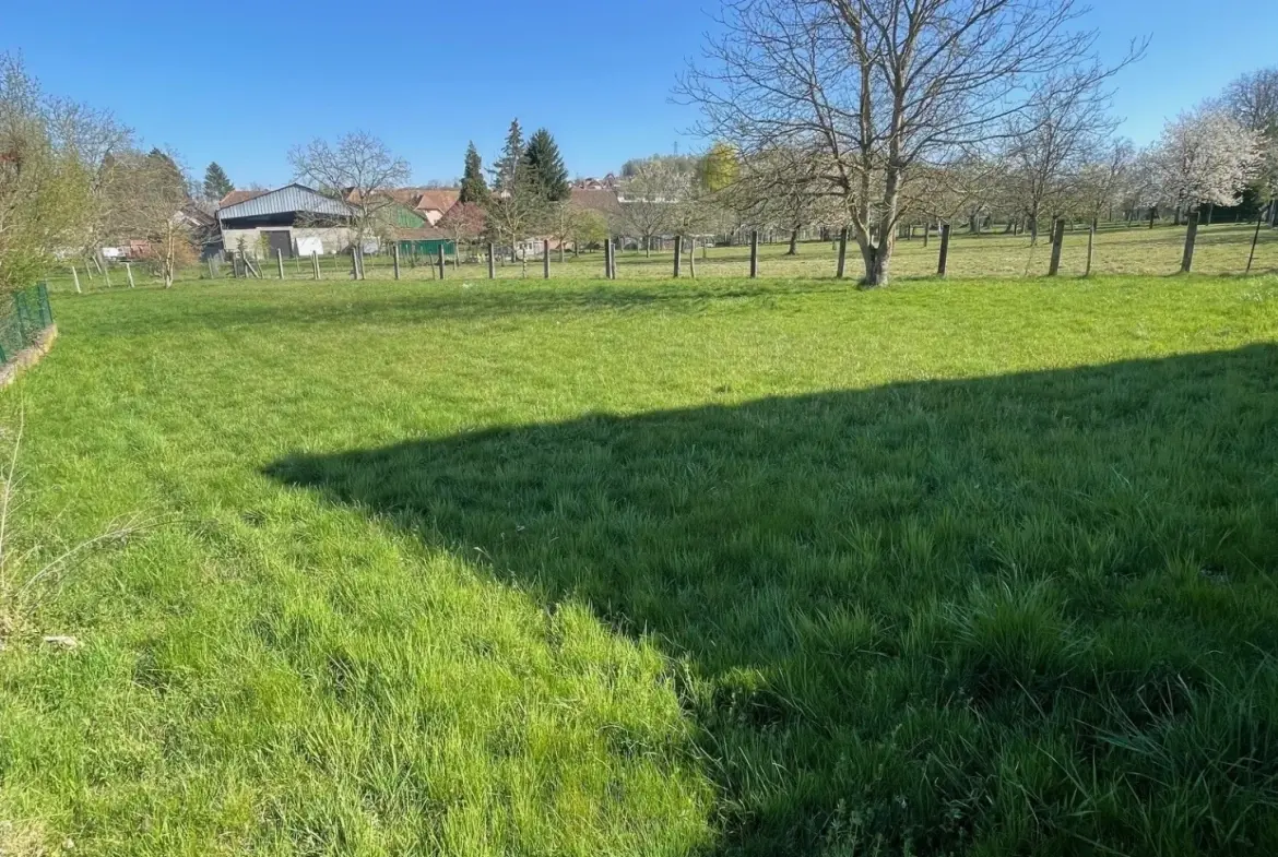 Terrain constructible de 7 ares 53 à Hirtzbach hors lotissement 