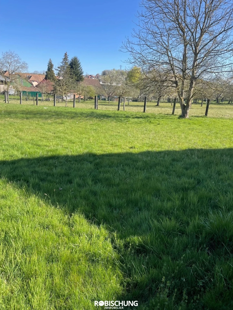 Terrain constructible de 7 ares 53 à Hirtzbach hors lotissement