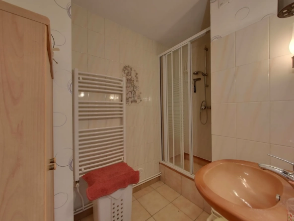 Bel appartement T4 lumineux secteur Gabriel Péri à St Martin d'Hères 