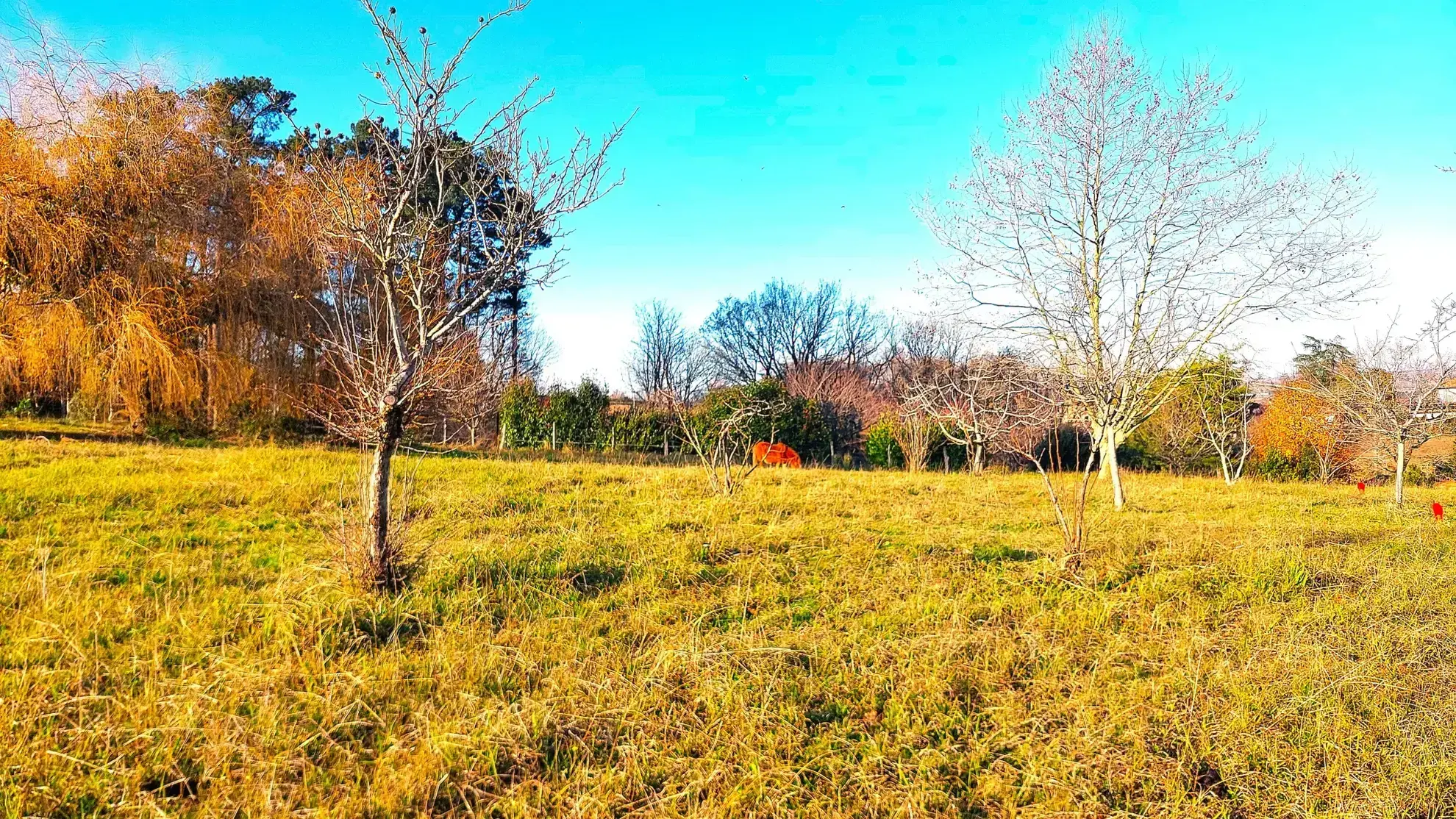 Terrain constructible plat de 1300 m² avec vue dégagée à Guiche 