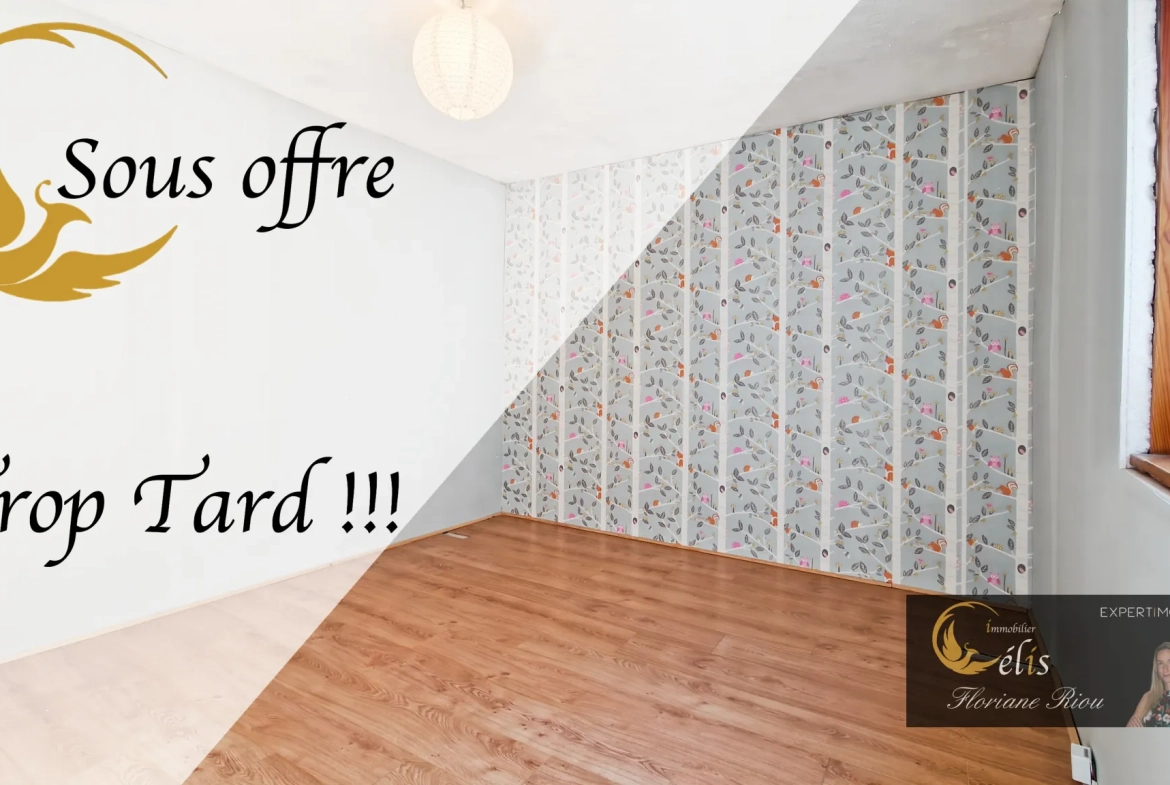 Maison de ville avec jardin à Bourgoin-Jallieu - Charmante et atypique 