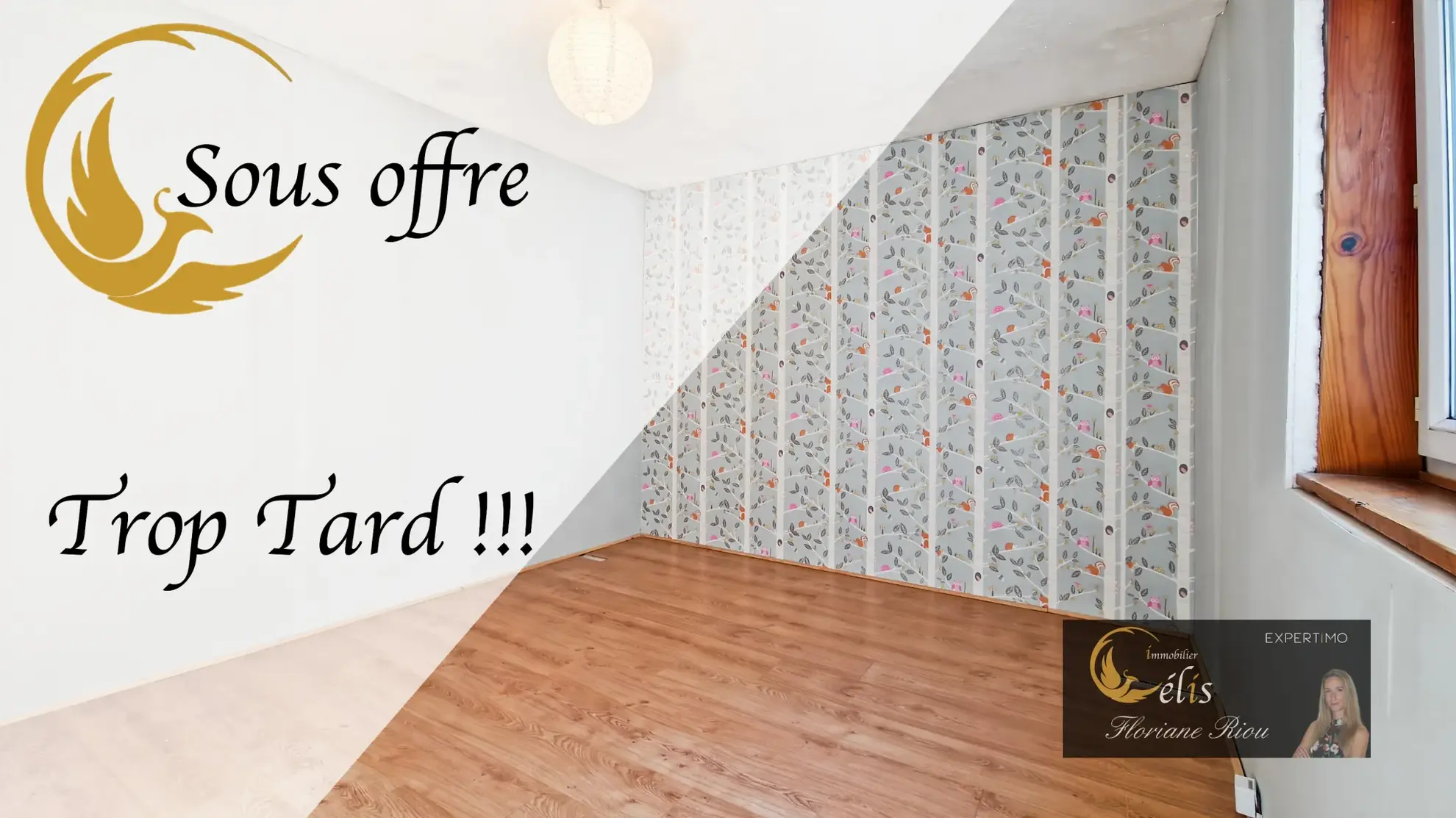 Maison de ville avec jardin à Bourgoin-Jallieu - Charmante et atypique 