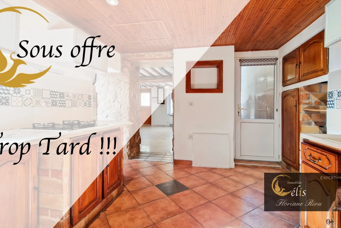 Maison de ville avec jardin à Bourgoin-Jallieu - Charmante et atypique 