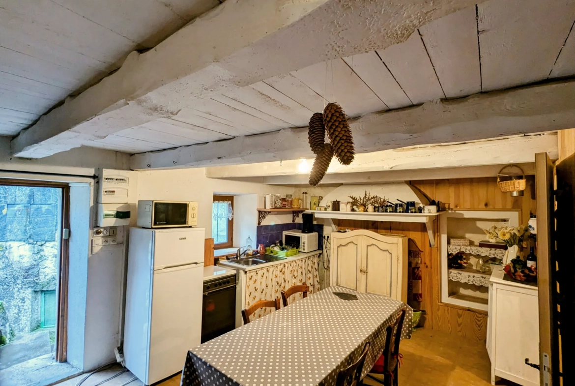 Maison de village à Cambons-et-Salvergues, proche nature, à petit prix 
