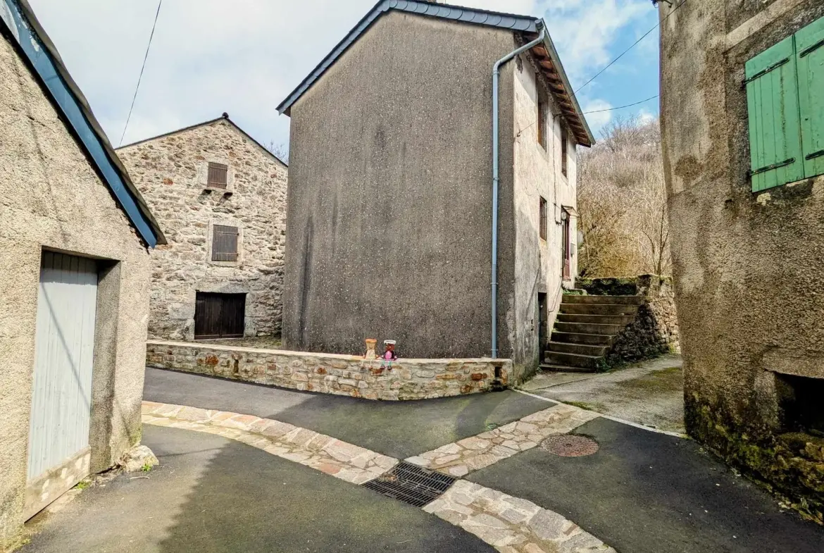 Maison de village à Cambons-et-Salvergues, proche nature, à petit prix 