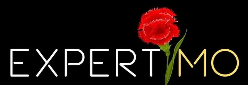 Investissement immobilier à Avallon : immeuble de rapport avec 3 logements en pierre apparente 