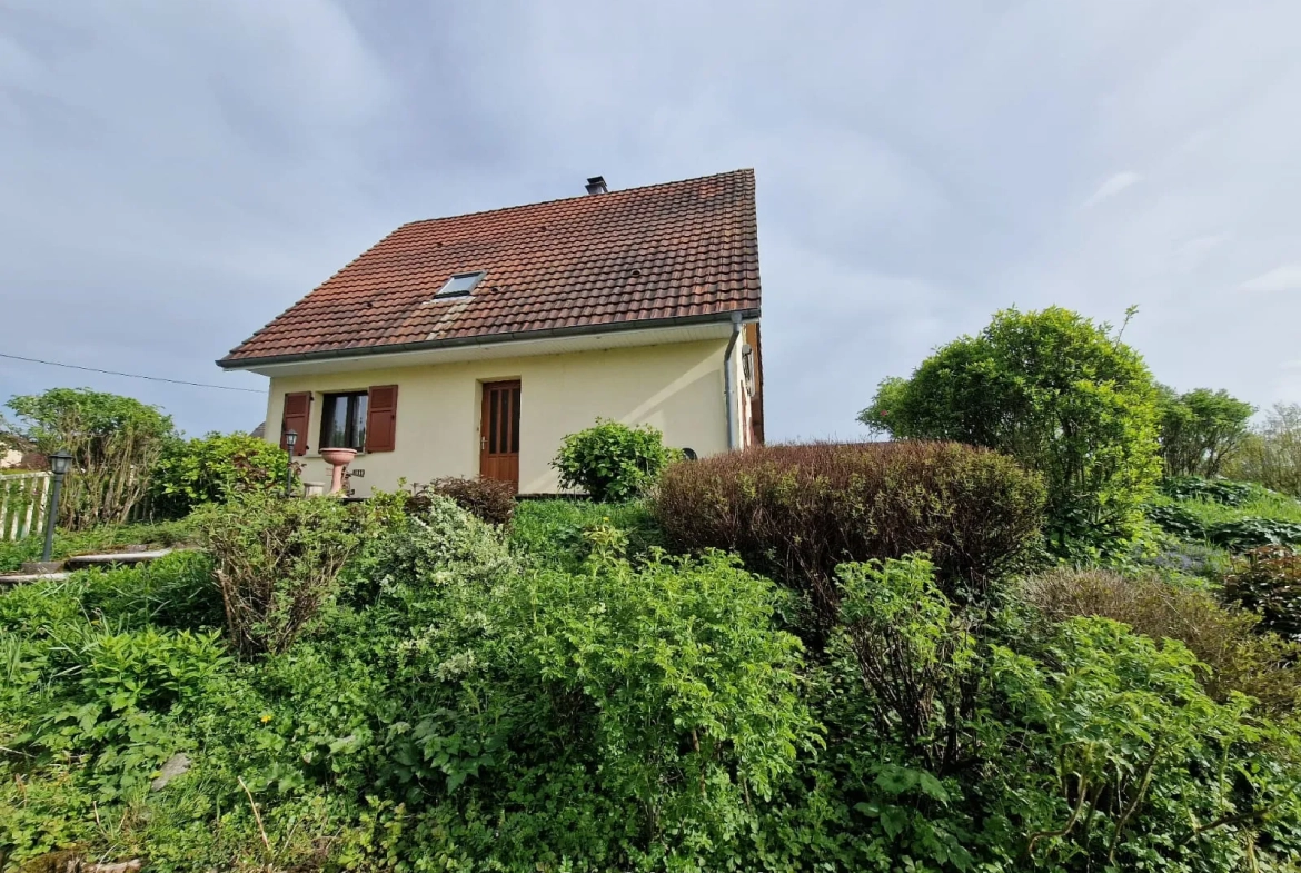 Maison individuelle avec dépendance et grand terrain à Chavannes sur l'étang 
