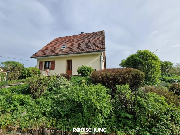 Maison individuelle avec dépendance et grand terrain à Chavannes sur l'étang