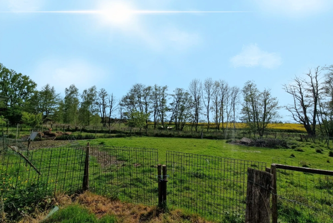 Maison individuelle avec dépendance et grand terrain à Chavannes sur l'étang 