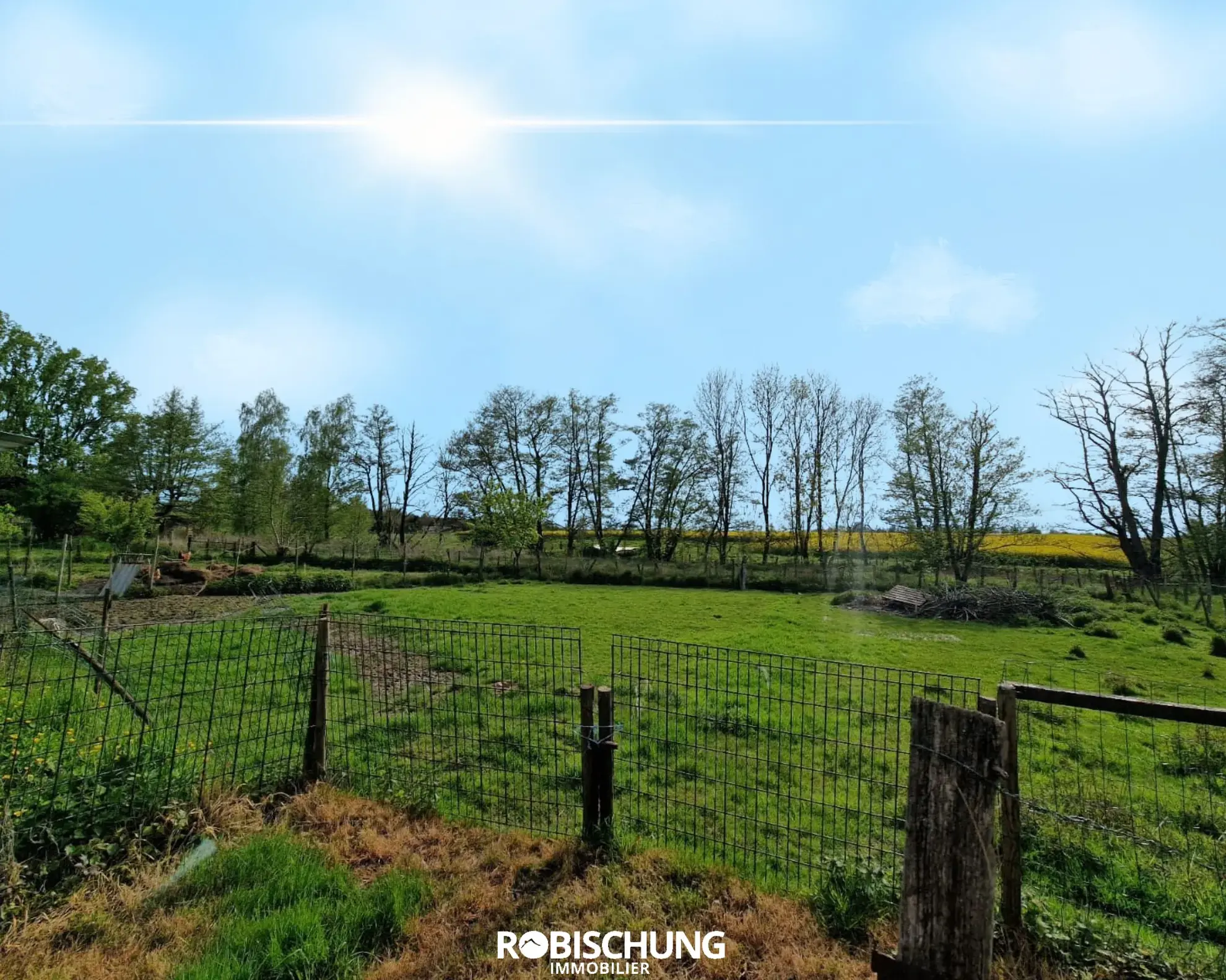 Maison individuelle avec dépendance et grand terrain à Chavannes sur l'étang 