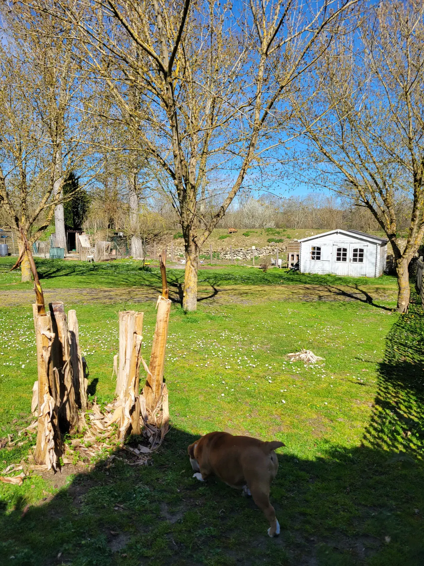 Maison à vendre en Dordogne de 127 m² avec 3 chambres et terrain de 2439 m², DPE B 